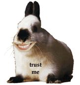 big bunnykins