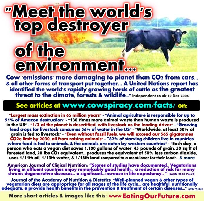 Are Is Livestock Cattle Cows Animal Agriculture Meat Dairy Main Cause Climate Change Greenhouse Gas Pollution DeForestation Desertification Famine Wasting Fuels Water Grains Food Arable Land Farms & is Vegan Vegetarian Diet the Healthy Sustainable Solution Facts Statistics