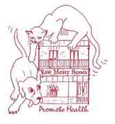 logo image